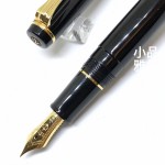 日本 Sailor 寫樂 Professional Gear 14K 鋼筆（金夾金尖）