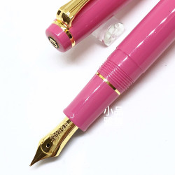 日本 NAGASAWA beside 14K 風見雞鋼筆（須磨離宮玫瑰紅）F尖