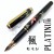 日本 Platinum 白金 18K金 金箔鋼筆（楓葉）