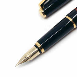 日本 PILOT 百樂 平蒔繪 14K金 鋼筆(龍) 日本 PILOT 百樂 平蒔繪 14K金 鋼筆(龍)