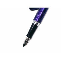 日本 Pilot 百樂 MR2 鋼筆（紫色）提供免費刻字-需刻字請選擇先付款方式結帳-