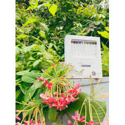 日本 Sailor 寫樂 四季織 SHIKIORI 十六夜的夢 卡式墨水 二十色特典