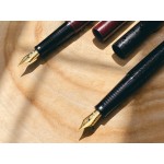 日本 Platinum 白金 PB-600 新古典 鋼筆（壓紋款兩色可選）