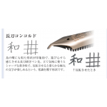 日本 SAILOR 寫樂 SPECIAL NIB 21K 長刀研 鋼筆（金）CONCORDE 鳥嘴尖