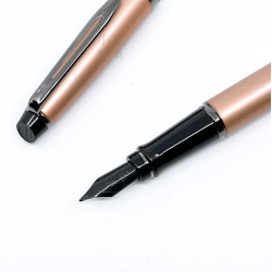 法國 Waterman Expert 權威系列 特別版 鋼筆(霧面玫瑰金款) 法國 Waterman Expert 權威系列 特別版 鋼筆(霧面玫瑰金款)