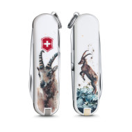瑞士 VICTORINOX 7功能 2016 年 Classic 小型袋裝瑞士刀 限量版(摩羯座) 瑞士 VICTORINOX 7功能 2016 年 Classic 小型袋裝瑞士刀 限量版(摩羯座)