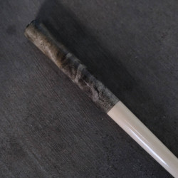 七葉樹瘤和冬青木沾水筆直桿 七葉樹瘤和冬青木沾水筆直桿