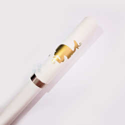 =庫存新品= 美國 Sheaffer 西華  書寫鋼珠筆(金色圖騰) =庫存新品= 美國 Sheaffer 西華  書寫鋼珠筆(金色圖騰)