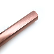 德國 Lamy AL-star 恆星系列 2024 限定色 autumn pink 鋼珠筆(秋日紅色) 德國 Lamy AL-star 恆星系列 2024 限定色 autumn pink 鋼珠筆(秋日紅色)