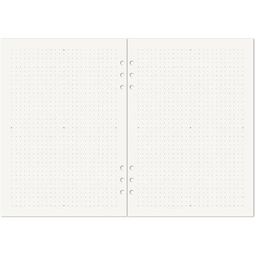 臺灣 Leatai 磊泰 介紙 鋼筆專用書寫紙 點陣十字紋內頁 / A5無時效 –  6孔活頁紙 補充包