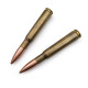 美國 PenLoco 子彈 Bullets 木紋桿 手工 原子筆 (兩款可選)
