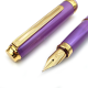 日本 PLATINUM 白金 BISO系列 限量 鋼筆(神秘紫)