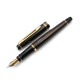 =庫存新筆= 法國 WATERMAN EXPERT 權威 閃耀棕金粉 鋼筆 #GN-78099