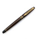 =庫存新筆= 法國 WATERMAN EXPERT 權威 閃耀棕金粉 鋼筆 #GN-78099