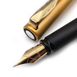 派克Parker Vector 威雅 XL系列 鋼筆（香檳金）