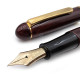 Platinum 白金 #3776 石楠木（Briar）漆塗亮面版 14K金 M尖 鋼筆