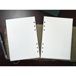 臺灣 Leatai 磊泰 介紙 鋼筆專用書寫紙 方格+橫線內頁補充包 /  A5活頁紙6孔 / 每份80張160頁 臺灣 Leatai 磊泰 介紙 鋼筆專用書寫紙 方格+橫線內頁補充包 /  A5活頁紙6孔 / 每份80張160頁