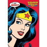義大利Montegrappa萬特佳 x DC Comics 聯名款 鋼珠筆（Wonder woman神力女超人）