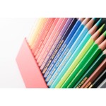 瑞士 CARAN D'ACHE (CDA) 卡達 100ANS 限量版 Prismalo 水性色鉛筆(25色) 
