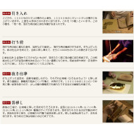 日本 Platinum 白金 金沢箔 風神雷神 14k 鋼筆 日本 Platinum 白金 金沢箔 風神雷神 14k 鋼筆