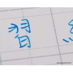【iPaper】習字本 鋼筆 / 硬筆 練字本 （進口11號紙) 