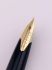 ☆典藏老筆☆ 日本 PILOT 百樂 CUSTOM MAPLE 第一代 楓木 18K 鋼筆