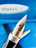☆典藏老筆☆ 派克 Parker 75 純銀格 鋼筆 14K XF尖 ( #GH-1700K 近新品) 