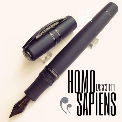 義大利 Visconti HOMO SAPIENS 智人 火山熔岩 23K Pd尖 鋼筆 （黑夾活塞）（小）